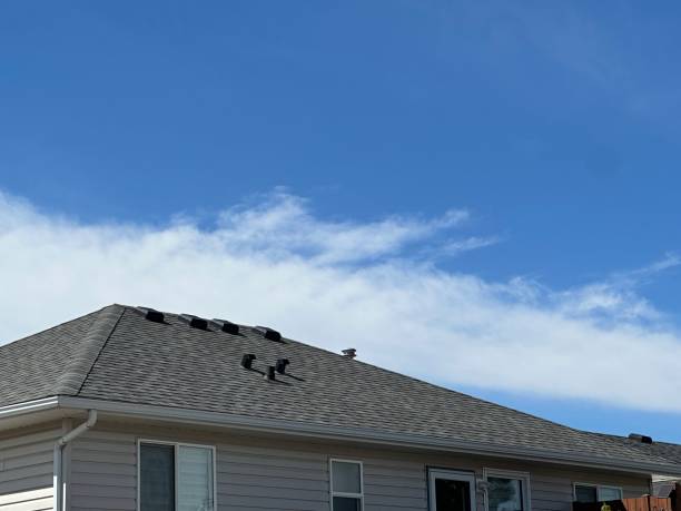 Best Emergency Roof Repair Services  in Alpine, CA